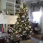 Dresden B & B